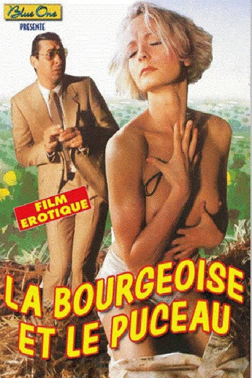 Movie poster for Une fille ça va, trois, attention les dégâts! (1985)