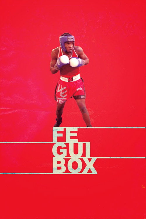 Movie poster for Feguibox (2015)