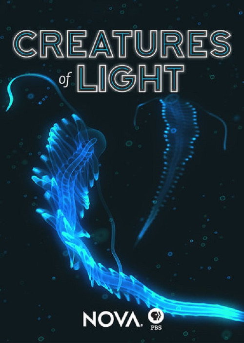 Movie poster for Creatures of Light (2015)