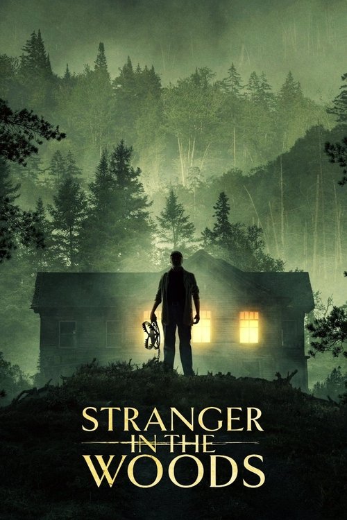 Movie poster for Stranger in the Woods (2024)