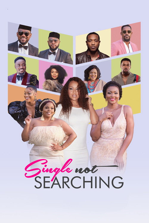 Movie poster for Single Not Searching (2022)