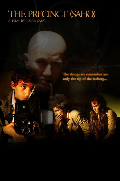 Movie poster for The Precinct (2010)
