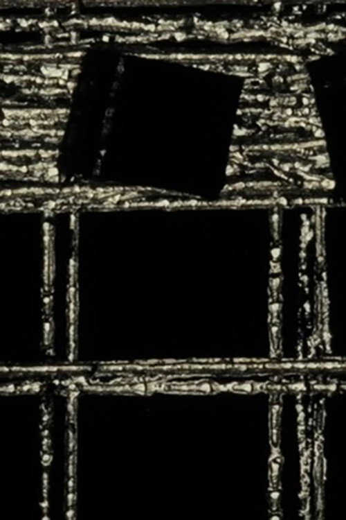 Movie poster for A Black Screen Too (2024)