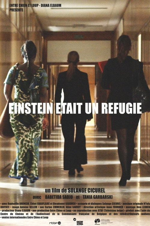 Movie poster for Einstein Was A Refugee (2010)