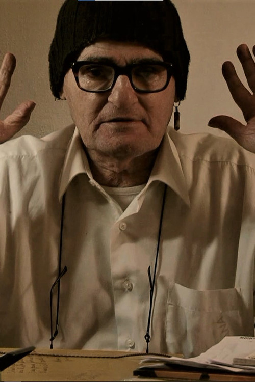 Movie poster for Il pazzo di Palermo (2025)
