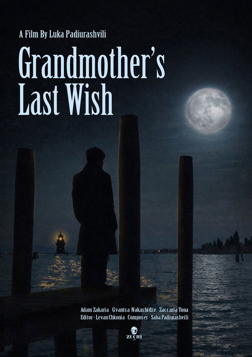 Movie poster for Grandmother's Last Wish (2025)