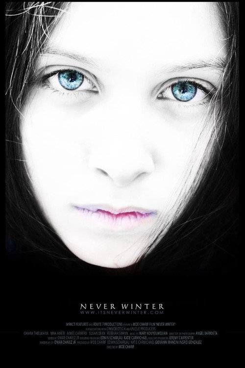Movie poster for Never Winter (2010)