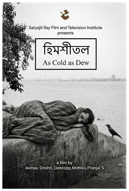 Movie poster for As Cold as Dew (2023)