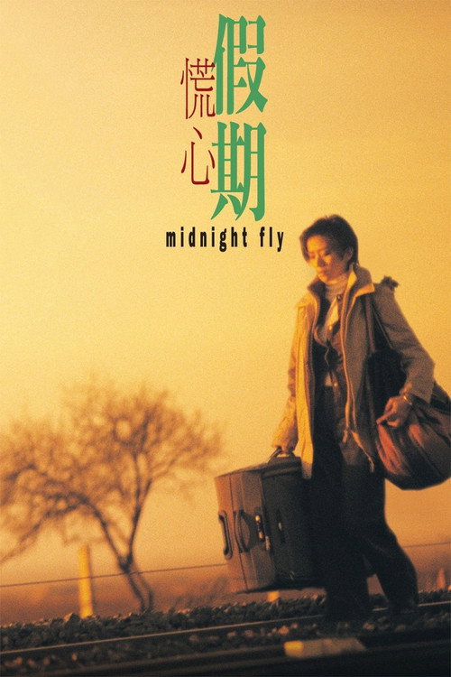 Movie poster for Midnight Fly (2001)