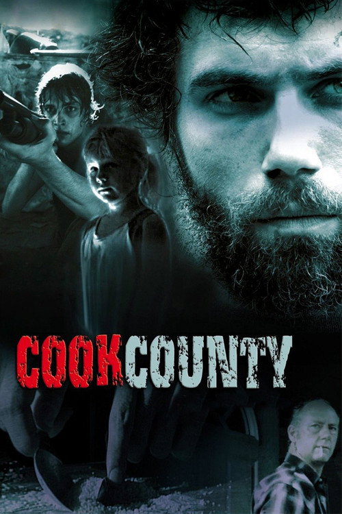 Movie poster for Cook County (2009)