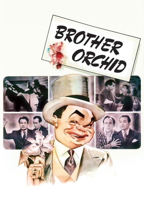 Movie poster for Brother Orchid (1940)