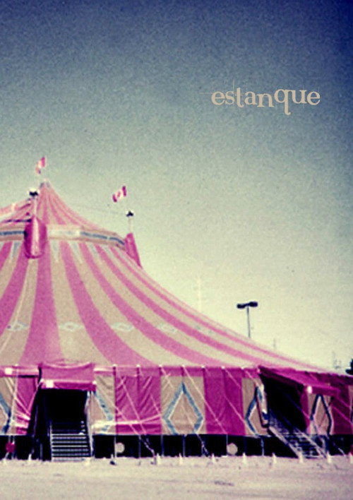Movie poster for Estanque (2011)