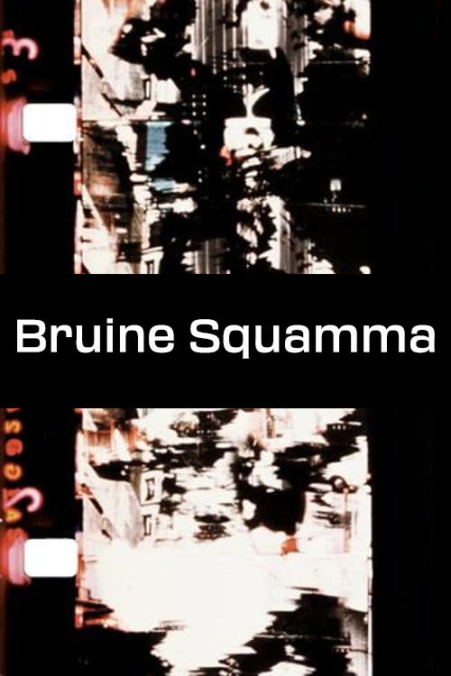 Movie poster for Bruine Squamma (1977)