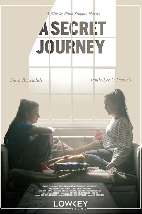 Movie poster for A Secret Journey (2019)