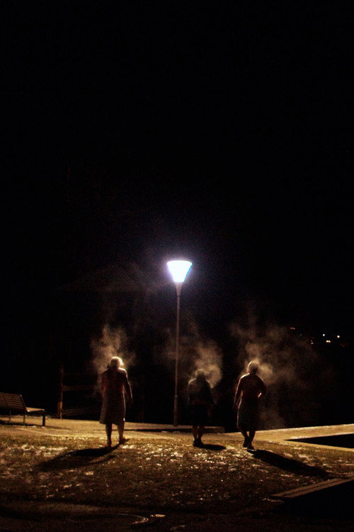 Movie poster for Die Saunagänger vom Attersee (2021)