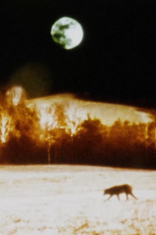 Movie poster for Darkness, Darkness, Burning Bright – Oraison (2022)