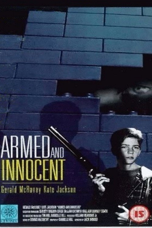 Movie poster for Armed and Innocent (1994)