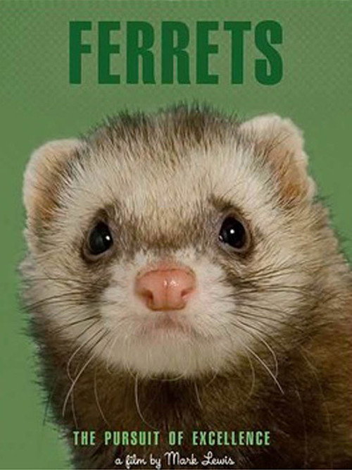 Movie poster for Ferrets (2007)