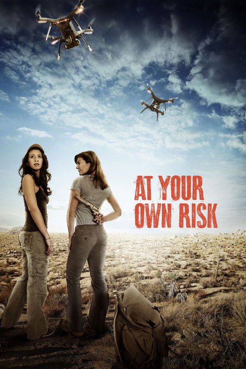 Movie poster for At Your Own Risk (2018)