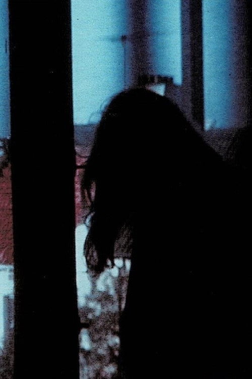 Movie poster for Window (1979)