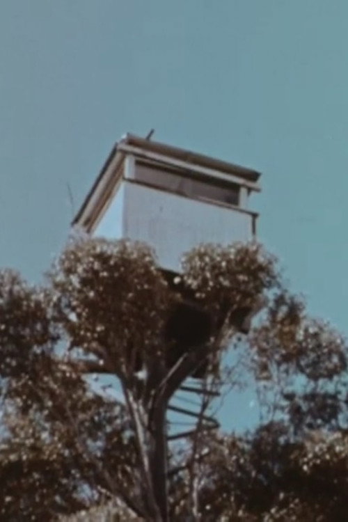 Movie poster for The Karri Forest (1962)