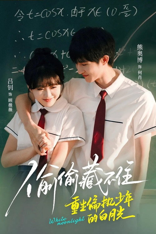 Series poster for 偷偷藏不住重生偏执少年的白月光 (2025)