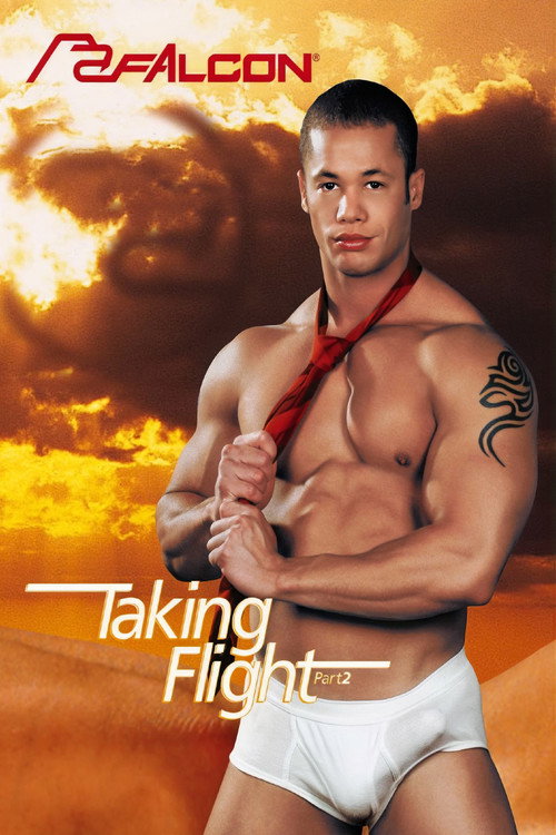 Movie poster for Taking Flight 2 (2005)