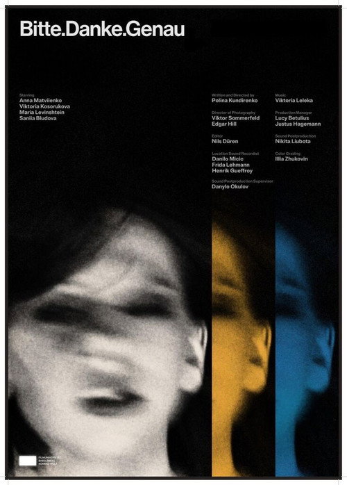 Movie poster for Bitte.Danke.Genau (2024)