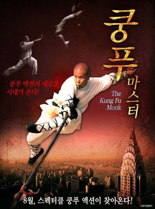 Movie poster for The Last Kung Fu Monk (2010)