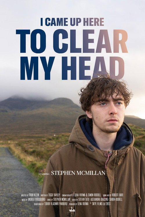 Movie poster for I Came Up Here To Clear My Head