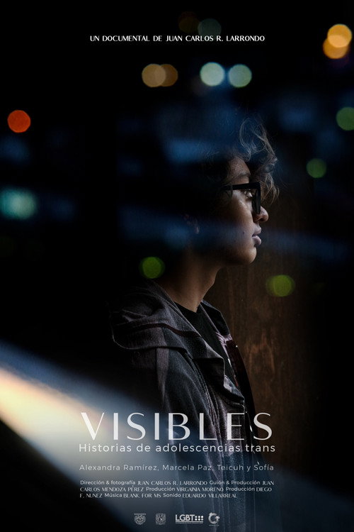 Movie poster for Visible: Transgender Youth Stories (2020)