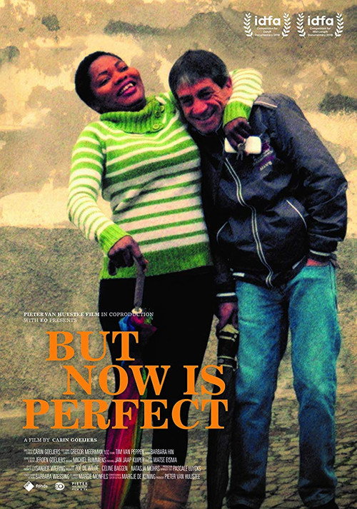 Movie poster for But Now Is Perfect (2018)