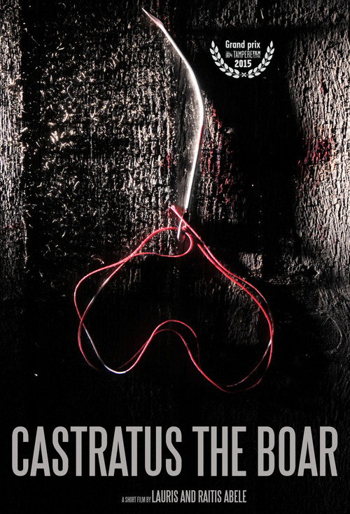 Movie poster for Castratus the Boar (2014)