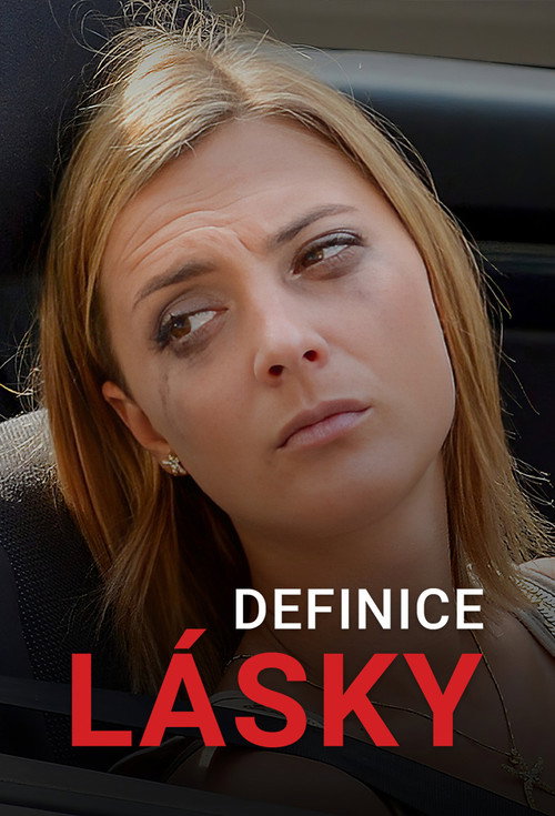 Movie poster for Definice lásky (2013)