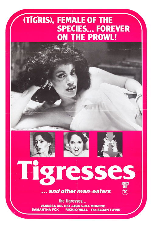 Movie poster for Tigresses (1979)