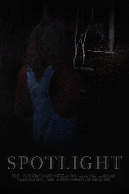 Movie poster for Spotlight (2018)