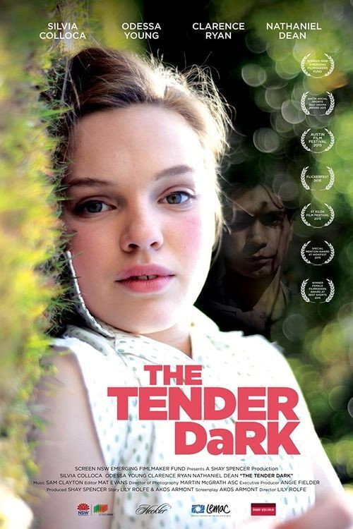 Movie poster for The Tender Dark (2015)