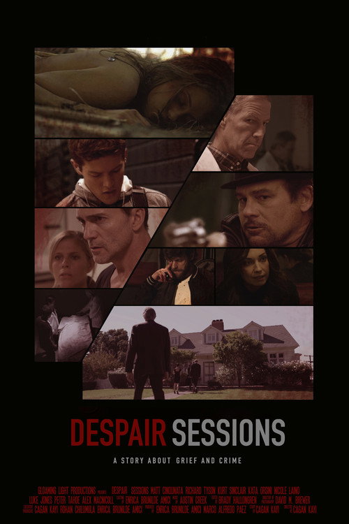 Movie poster for Despair Sessions (2015)