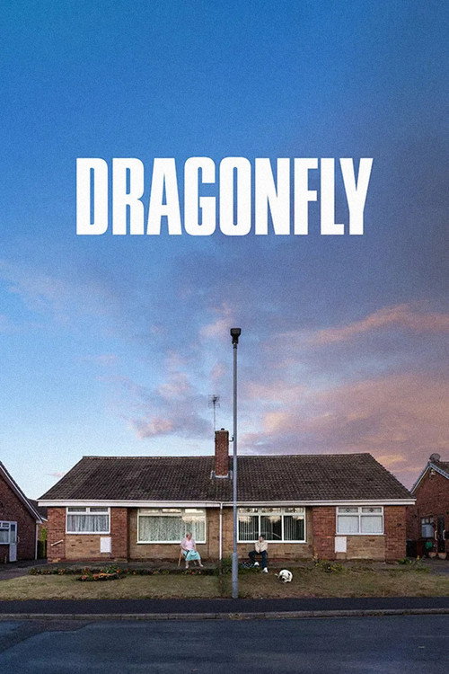 Movie poster for Dragonfly (2025)