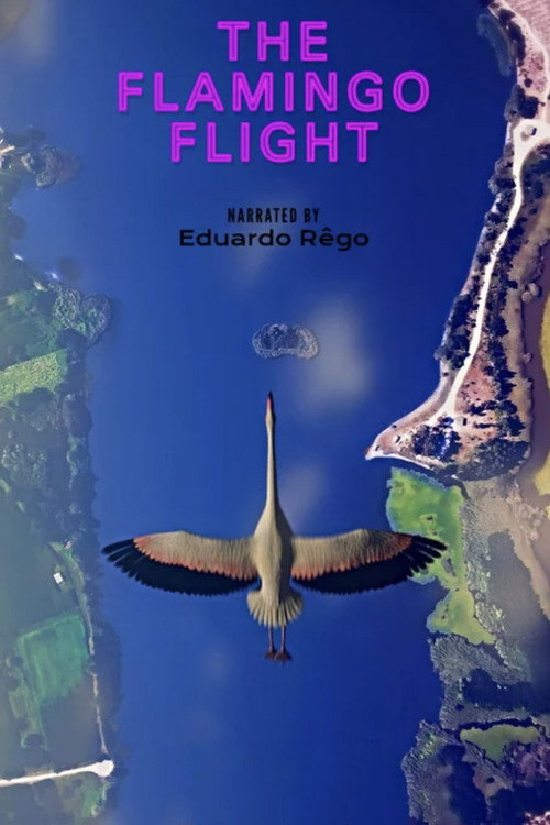 Movie poster for O Voo do Flamingo