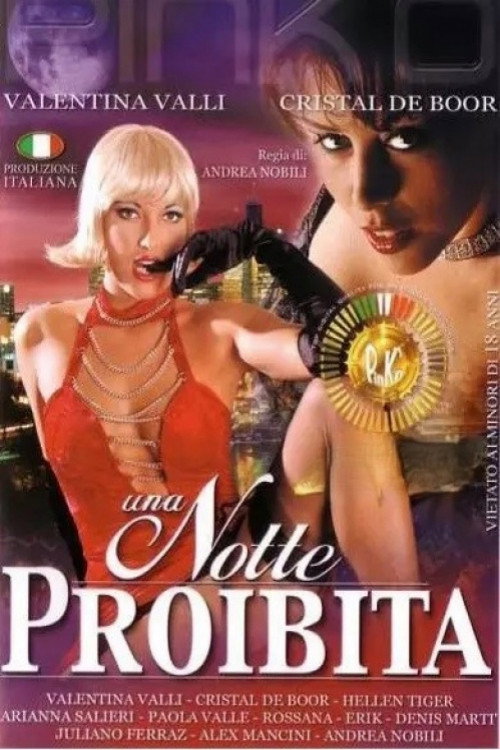 Movie poster for A Forbidden Night (2002)
