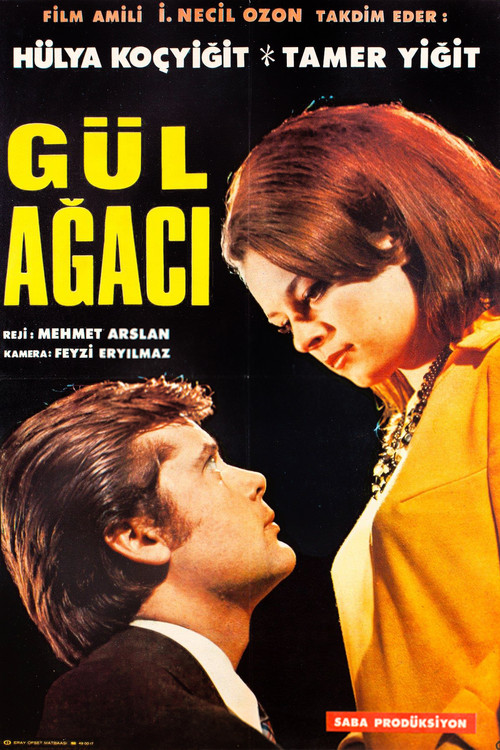 Movie poster for Gül Ağacı (1967)
