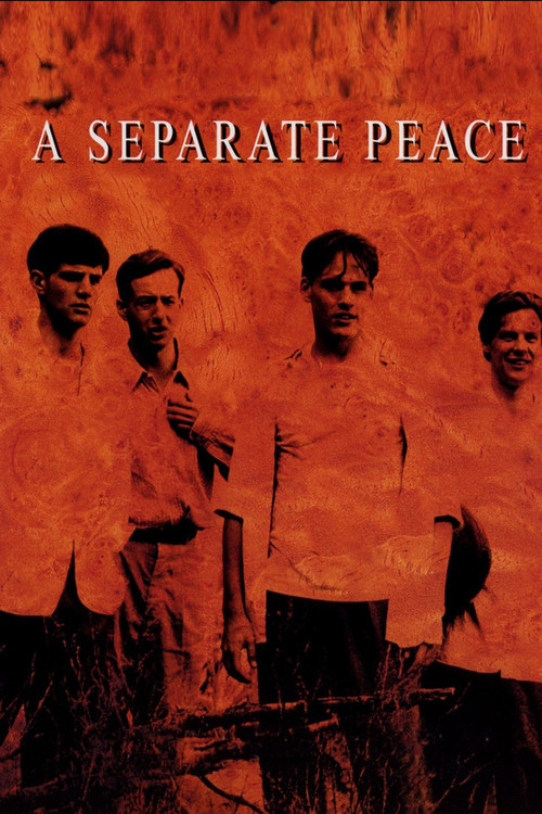 Movie poster for A Separate Peace (2004)