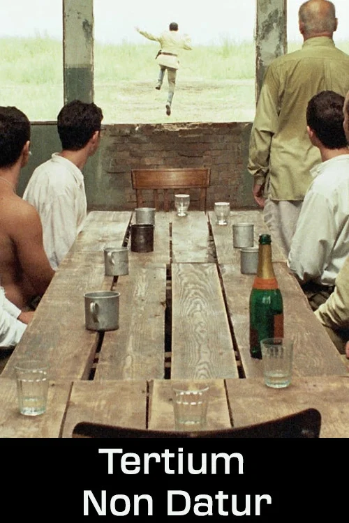 Movie poster for Tertium Non Datur (2006)