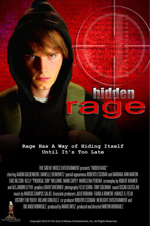 Movie poster for Hidden Rage (2010)