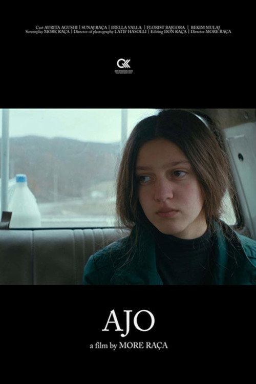 Movie poster for Her (2018)