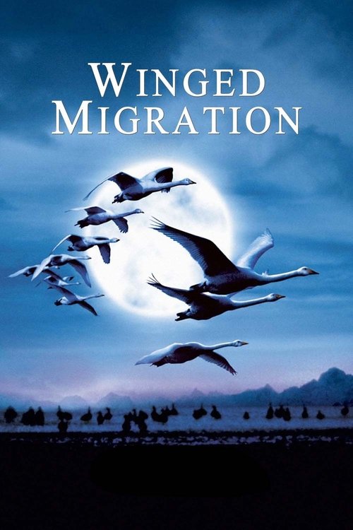 Movie poster for Winged Migration (2001)