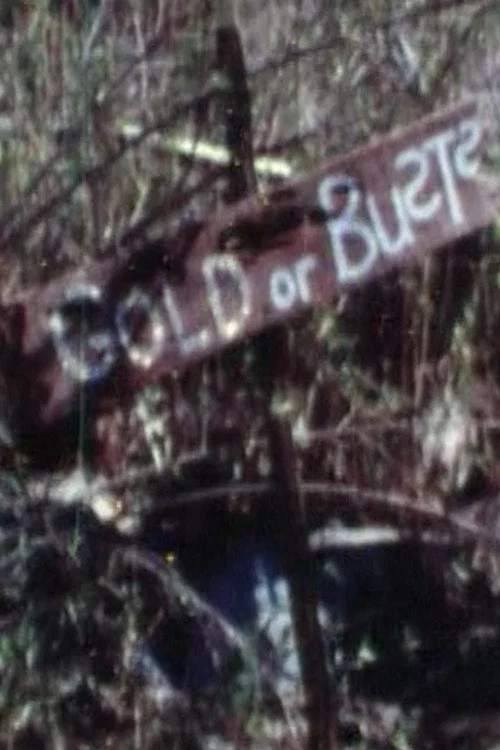 Movie poster for Gold or Busts (1973)