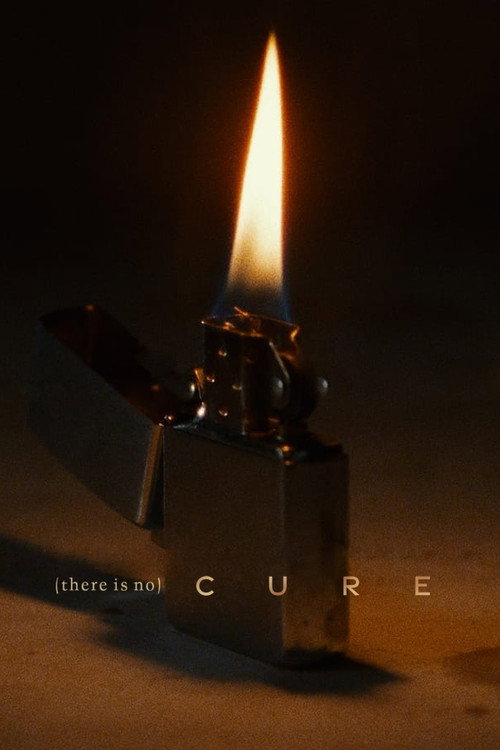 Movie poster for (There Is No) Cure (2022)