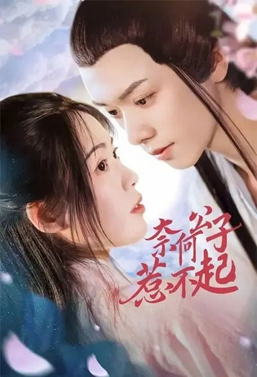 奈何公子惹不起 poster